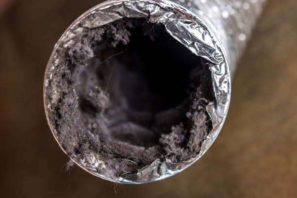 Best Air Duct Cleaning Near Me  in Santa Rosa, NM